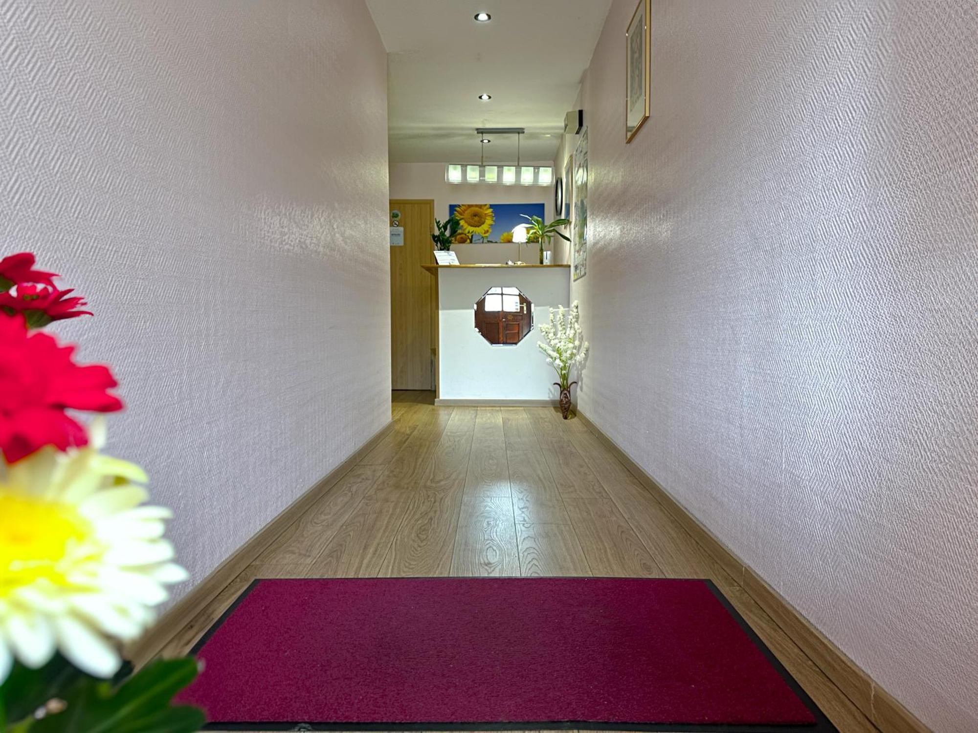 Hotel Denriko Хайделберг Екстериор снимка